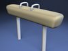 Olympic Pommel Horse