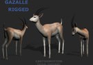 GAZELLE 3D Model