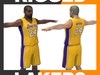 Rigged Basketball Player - Los Angeles Lakers 3D Model
