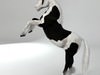 Gipsy Vanner Horse 3D Model