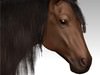 Horse 3D Model