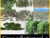 Grass collection 3