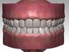 Mouth 3D Model
