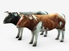 Cow 3D Model