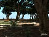 park