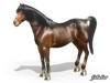 Horse 3D Model
