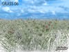 Grass 06