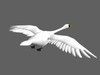 Rigged swan model 3D Model