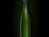 Bottle of Champagne 3D Model
