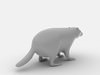Common Badger (Meles Meles Meles) 3D Model .max .obj .3ds .fbx .lwo .lw .lws .c4d