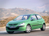 Peugeot 307 3 door 3D Model