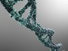 DNA strand