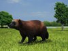 Wolverine (Gulo Gulo) 3D Model