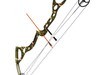 Compound Bow 3D Model .3ds .lwo .lw .lws