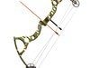 Compound Bow 3D Model .3ds .lwo .lw .lws