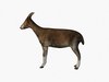 Low poly goat