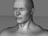 Man topology 3D Model