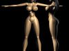 Busty Sexy Female Character 3D Model