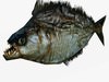 Low poly piranha