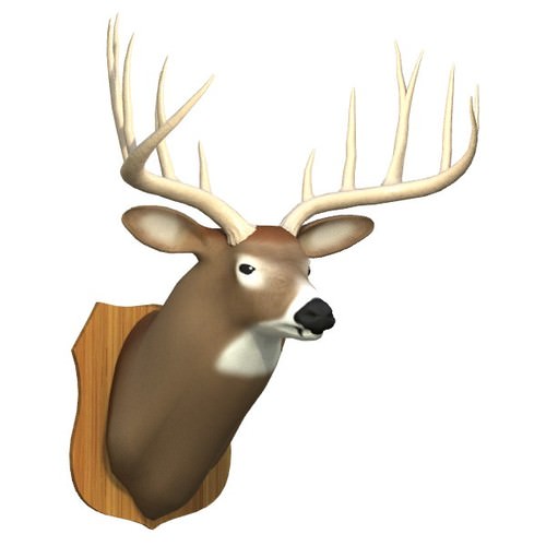 Mounted Deer Trophy 3D Model Mounted Deer Trophy 3D Model .3ds .lwo .lw .lws