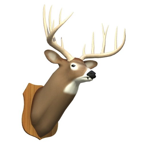 Mounted Deer Trophy 3D Model Mounted Deer Trophy 3D Model .3ds .lwo .lw .lws