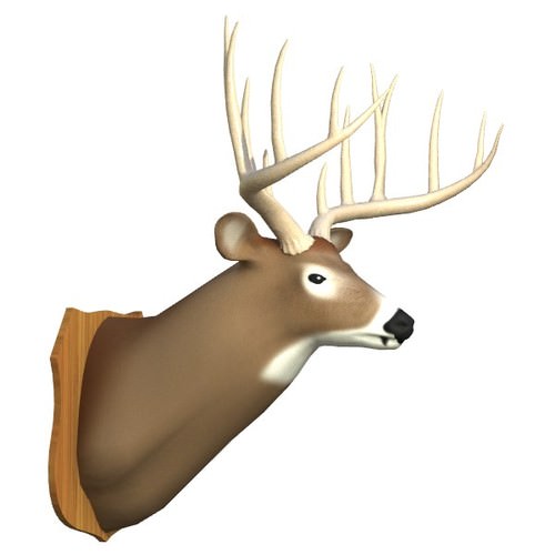 Mounted Deer Trophy 3D Model Mounted Deer Trophy 3D Model .3ds .lwo .lw .lws