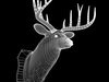 Mounted Deer Trophy 3D Model .3ds .lwo .lw .lws