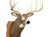 Mounted Deer Trophy 3D Model .3ds .lwo .lw .lws