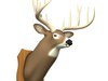 Mounted Deer Trophy 3D Model .3ds .lwo .lw .lws