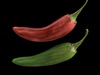 Peppers 3D Model