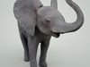  Baby Elephant 3D Model