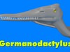 Germanodactylus 3D Model