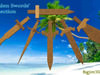 Wooden Swords' collection