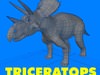 Triceratops Dinosaur
