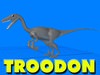 Troodon Dinosaur