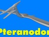 Pteranodon