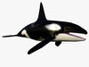 Orca low poly