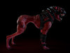 Hell Dog