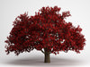 CGAxis Persian Ironwood Tree 11