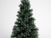 CGAxis Alpine Fir 25