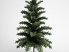 CGAxis Scots Pine 24