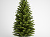 CGAxis Norway Spruce 21