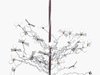 Ingo Maurer Light Birdie