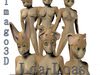 Loa-Loas canine