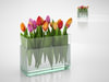 Tulip bouquet
