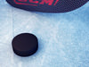 Hockey Stick & Puck