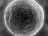 Ovum electron