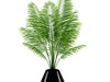 Potted Palm 3D Model