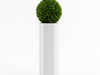 Spherical house plant 3D Model