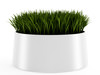 Decorative Grass 3D Model